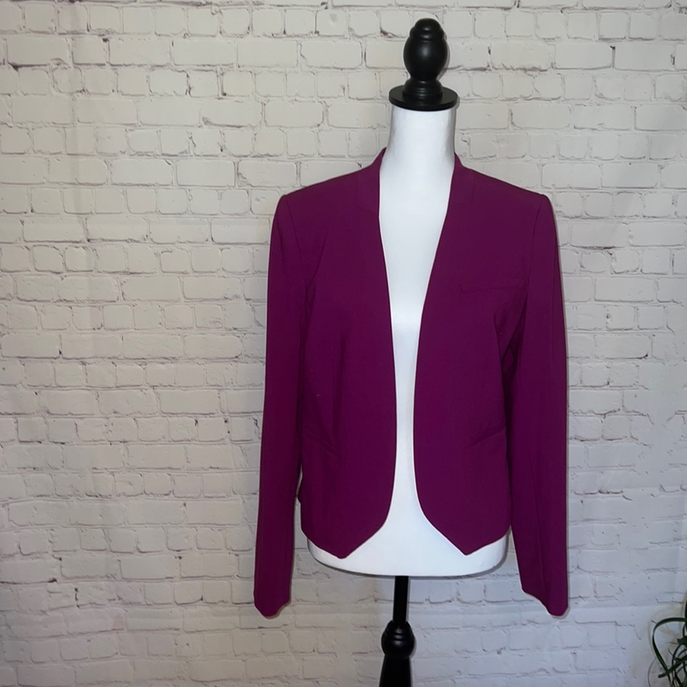 Fuchsia Blazer size Medium by The Limited